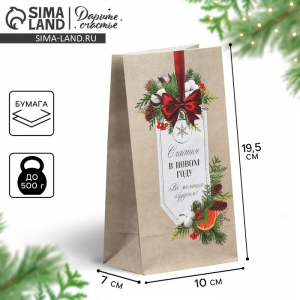 Пакет подарочный без ручек «С Новым годом», 10?19.5?7 см