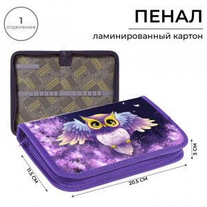 Пенал 1 секция 115?205?30 мм, Calligrata «Совушка» ламинированный картон