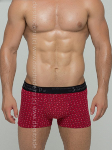 SD2023-3 Трусы мужские Salvador Dali Дроп боксеры