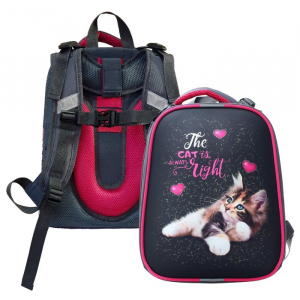 Рюкзак каркасный школьный 38 х 30 х 16 см, эргономичная спинка, Stavia 