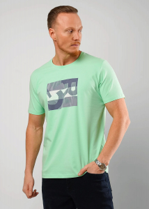 CLEVER Футболка 561978/12г maxi(макси)_п