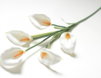 Искусственные цветы, Ветка каллы латекс 5 голов (1010237) белый