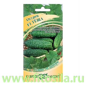 Огурец Теща F1 10 шт. корнишон автор. (семена для проращивания)