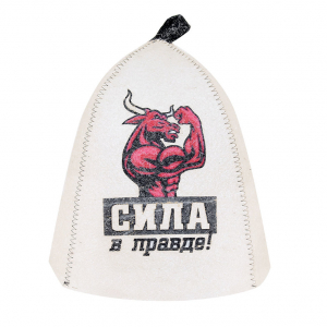 Колпак Сила в правде А37065