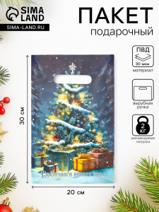 Пакет подарочный новогодний «Сказочного Нового Года», полиэтиленовый с вырубной ручкой, 20?30 см, 30 мкм