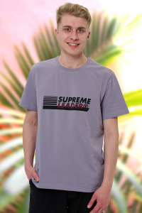 футболка мужская 2861-12