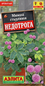 1512A Мимоза Недотрога 10 шт