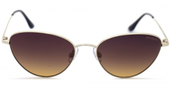 FIENO P01