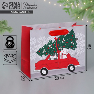 Пакет подарочный новогодний крафтовый «Спешу к тебе», MS 23?18?10 см