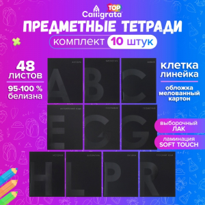 Комплект предметных тетрадей 48 листов 10 предметов 