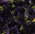 Мальва 50 гр