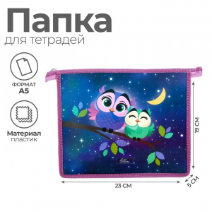 Папка для тетрадей А5, 230 х 190 х 50 мм, молния сверху, пластиковая, Calligrata 