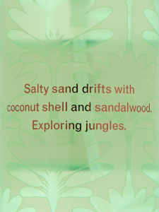 Chasing Paradise geparfumeerde bodymist