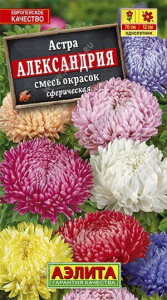 Семена Астра Александрия, смесь окрасок Ц/П