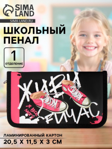 Пенал школьный, 1 секция, 11.5?20.5?3 см «Кеды»