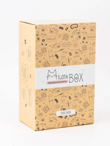 MilotaBox mini 