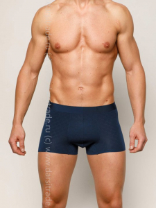 SD2901-5 Трусы мужские Sergio Dallini Дроп боксеры