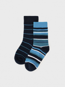 Носки для мальчика, 2 пары в комплекте