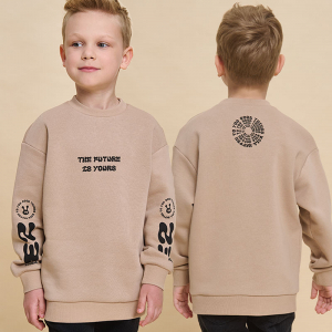 BFN3364 толстовка для мальчиков (1 шт в кор.)