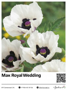 Мак Royal Wedding