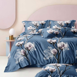 Полукомплект пододеяльник 200х200 и 2 наволочки 70х70 Сантана поплин