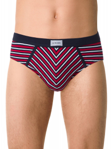 DiWaRi Трусы BAND SLIP 811 (в коробке)