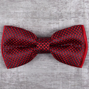 бабочка 
4.004.347