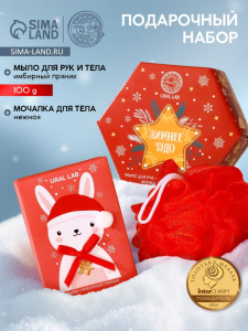 Новогодний подарочный набор косметики «Зимнее чудо»: мыло для рук кусковое 100 г и мочалка для тела, URAL LAB