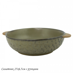 205-436 Салатник 25х6,5см МИСТРАЛЬ с ручками в под.уп.(х24)Фарфор