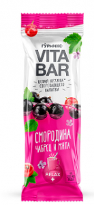 ГУРМИКС Основа для напитка СМОРОДИНА, чабрец и мята 25МЛ