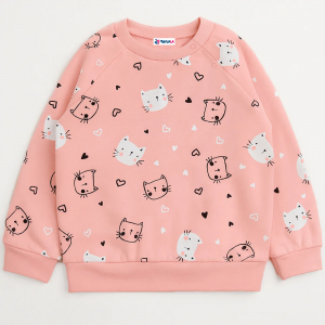 Толстовка футер 2х нитка начес 1027310114