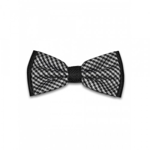 Бабочка Tsarevich 68