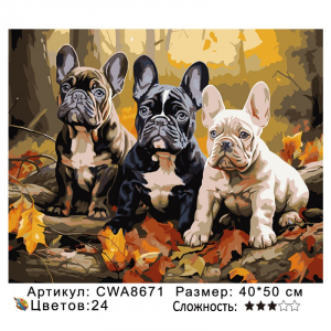 CWA8671 Под заказ