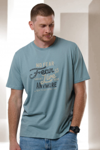 футболка мужская 3541-23 Новинка