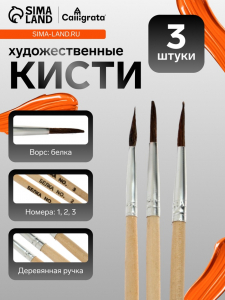 Кисти для рисования, белка, 3 штуки: № 1, 2, 3, круглые, деревянная ручка, международный размер
