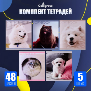 Тетради 48 листов в клетку, Calligrata «Любимые питомцы», серые листы, 5 штук