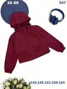 Ветровка 647 бордовый