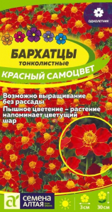 Бархатцы Красный Самоцвет Сем.Алтая