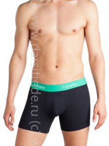 TS7820-3 Трусы мужские Дроп Tousite боксеры