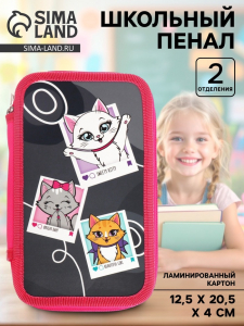 Пенал школьный, 2 секции, 12.5?20.5?4 см «Котята»