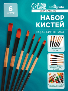 Набор кистей нейлон 6 штук: 2 круглые, 4 плоские