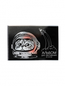 Альбом для рисования, 40 листов на гребне А4, «Космокот», плотность листов 100 г/м?