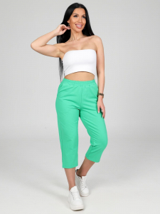 Финикс - бриджи зеленый