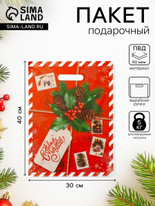 Пакет подарочный «Новогодняя посылка», полиэтиленовый с вырубной ручкой, 30?40 см, 50 мкм