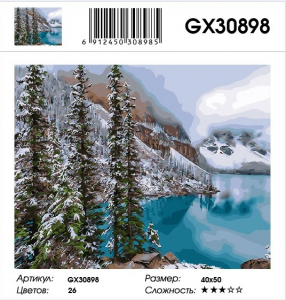 GX 30898
