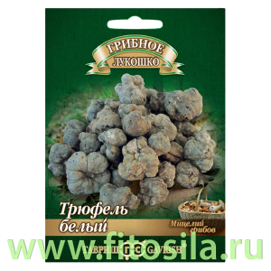 Трюфель белый Российский на зерновом субстрате, больш. пак. 15 мл (семена для проращивания)