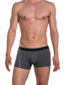 TS7824-2 Трусы мужские Дроп Tousite боксеры
