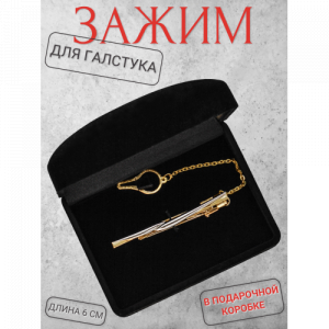 Заколка для галстука в коробке H22