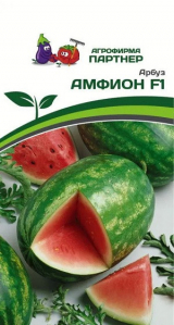 3002P Арбуз АМФИОН F1 5шт