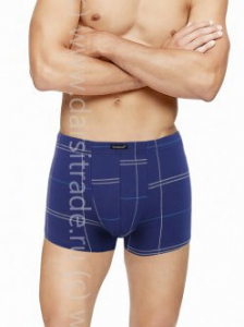 Трусы мужские GS7752 Gentlemen шорты